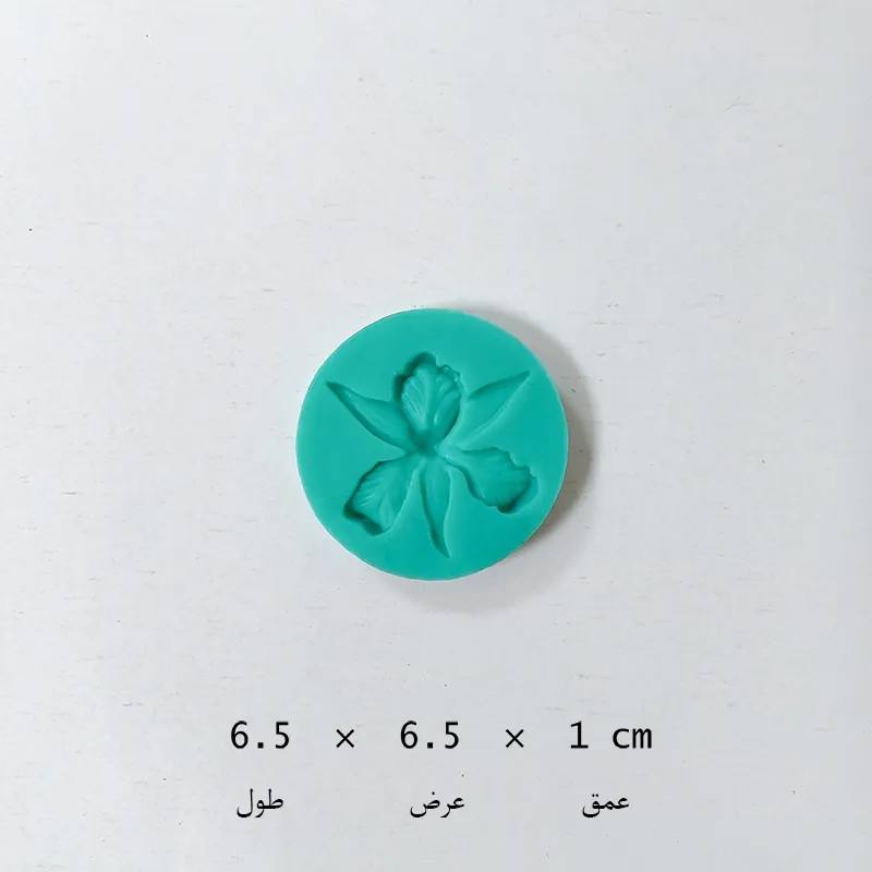 مالد ارکیده تخت